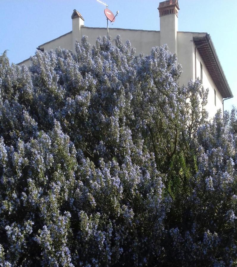 קרמיניאנו Podere Sanlorenzo מראה חיצוני תמונה